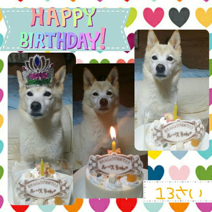 A450ae5b 1d52 42c4 b9bc a32125cd94fa