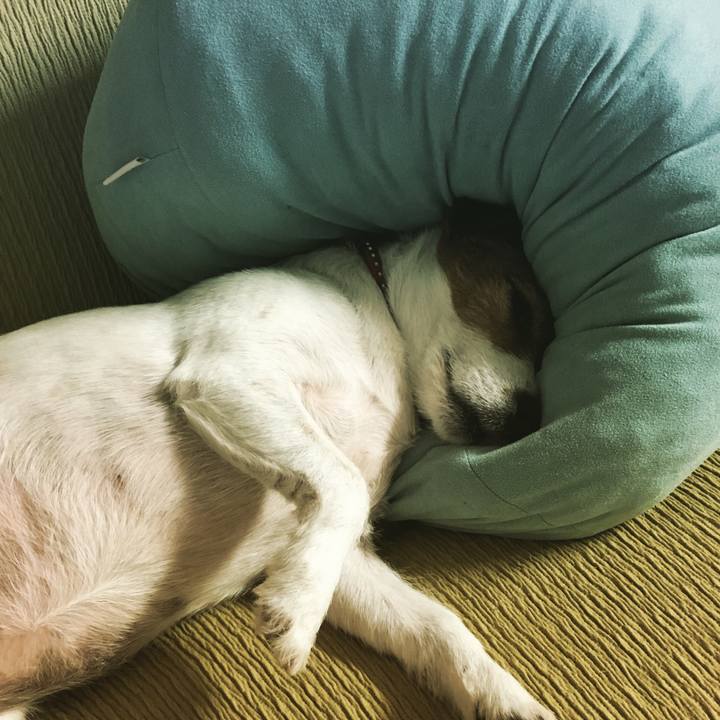 A450f221 ae8f 44a8 b205 bc3f3d233d3f