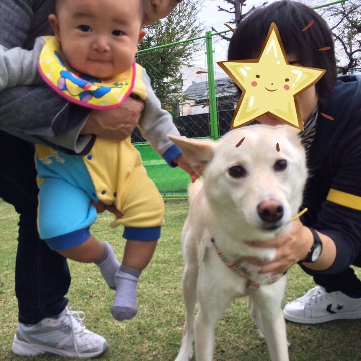 A4518c04 4478 4492 8370 42389e670d03