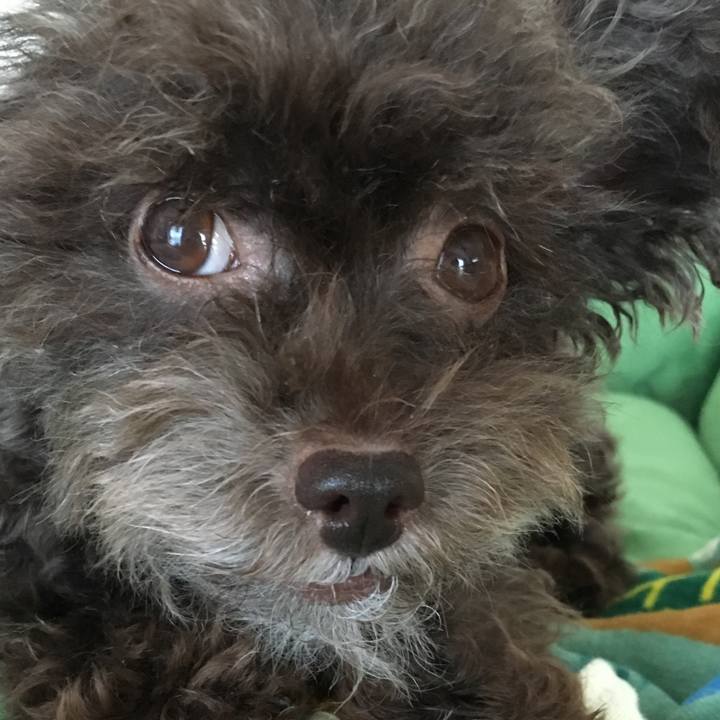 A451ef21 dc93 4f83 9151 264dcc02ca45