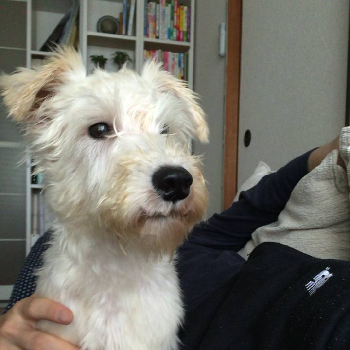 A4522621 47e1 4eae a72e ca74670b070a