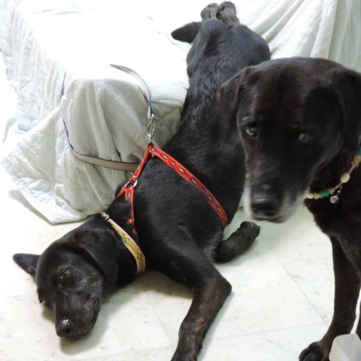 A4526316 8fb6 4608 b2a6 673b5e45f000