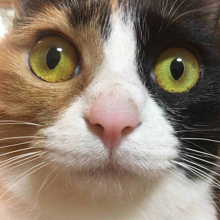 A4528ddf 65eb 4a3e 8231 f607ce85132d