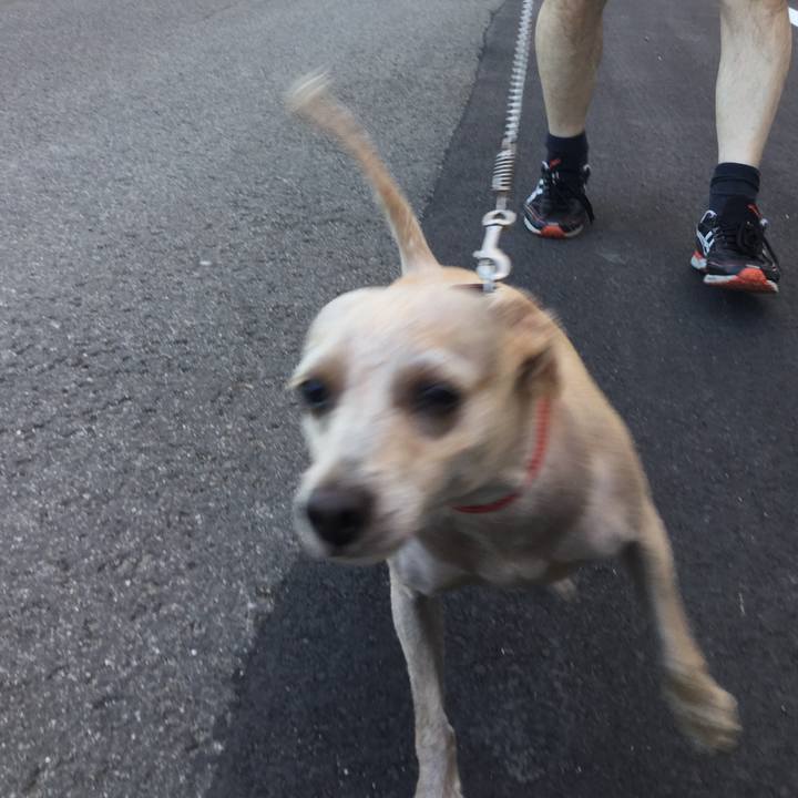 A45296dc b399 4379 be1d c1a69e168f55