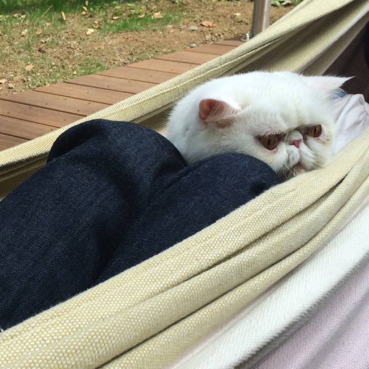 A452bf82 5d5f 46de 9b95 8be874a7642c