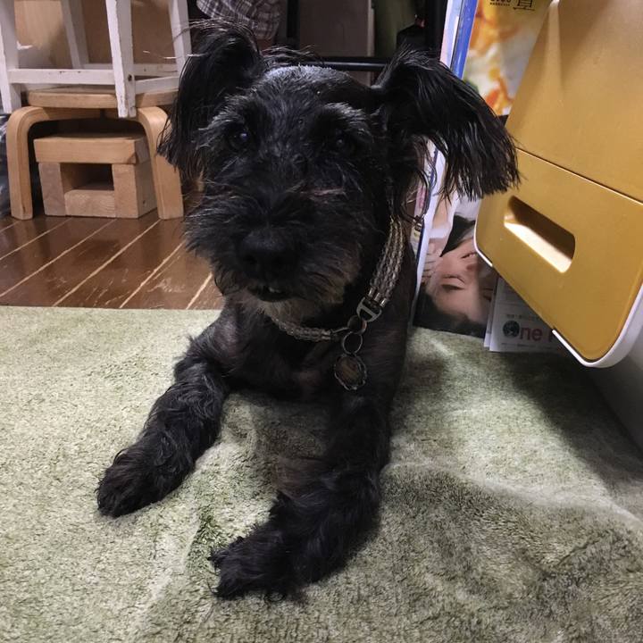 A4535fc4 a1f9 4ca8 8e2a 5f7568cb7a47