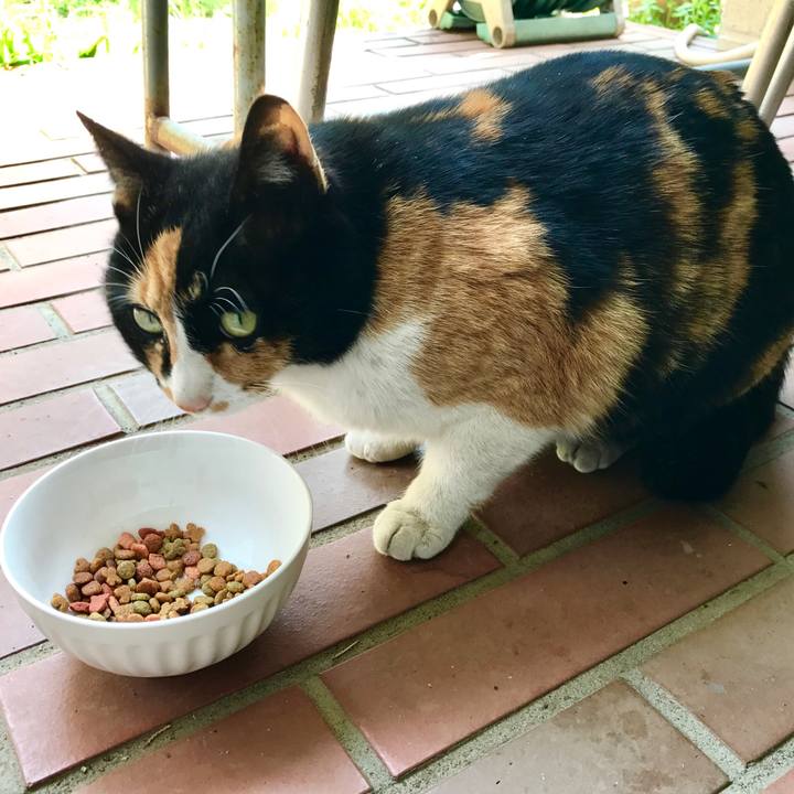 A453f057 4167 41f8 b27d c09fb110cf2b