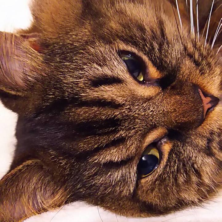 A453f2a8 2139 4214 890d 998e1036eaf7