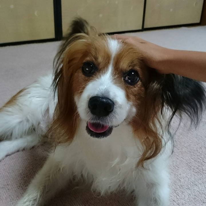 A4540db9 e57c 406e a1bd 737e58bcc8e5