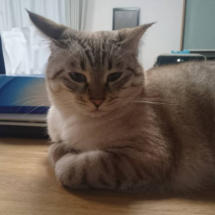 A454f602 2985 47dc ad3f 037693f17044