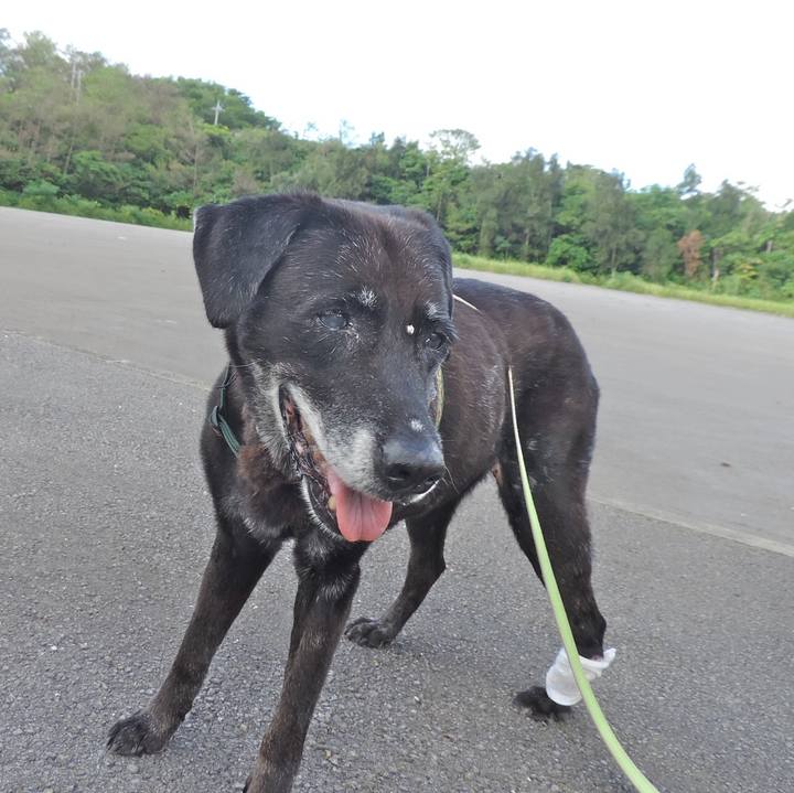 A4563863 0aba 4386 a4e8 de989630df2e