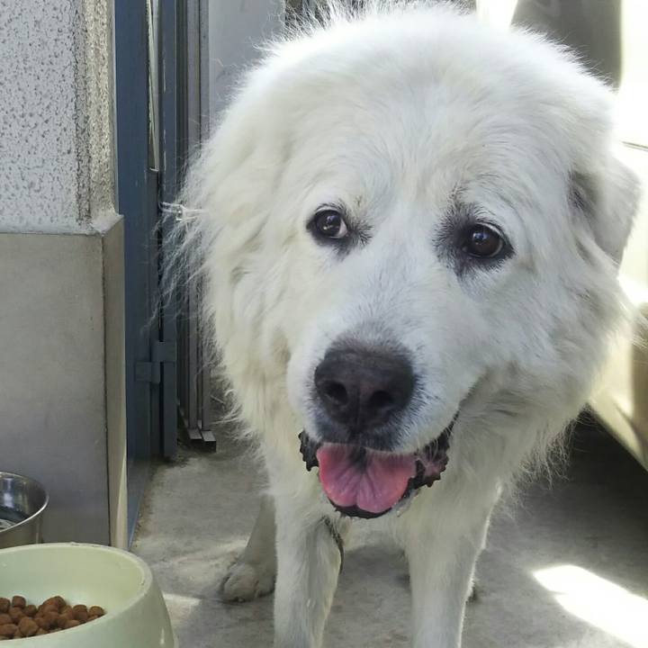 A4566496 d17a 4001 a1d3 a14bbff81241