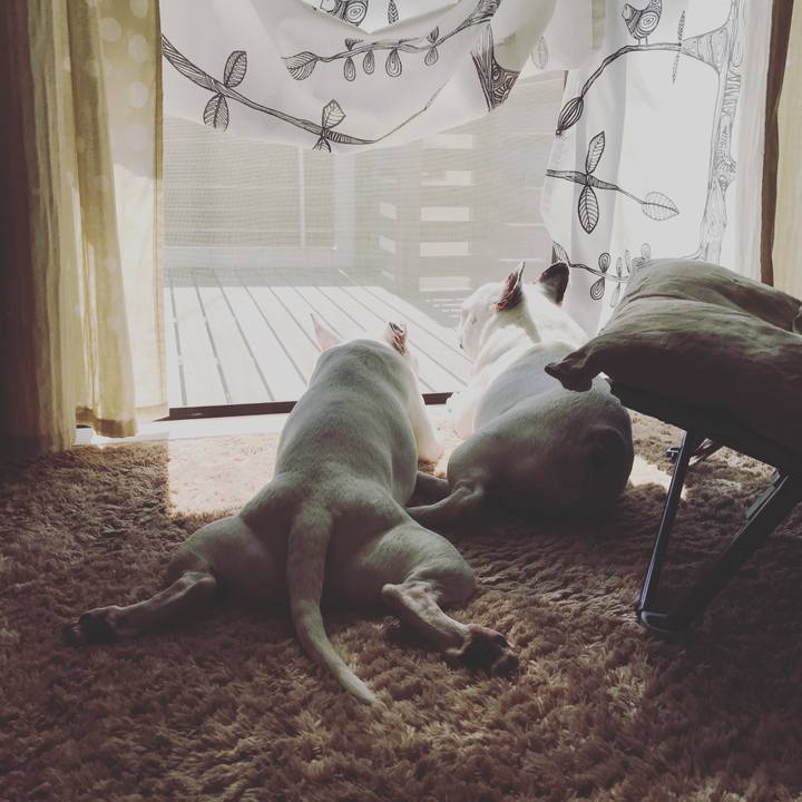 A456d319 6cf7 46f5 a08e 362f56d2638b