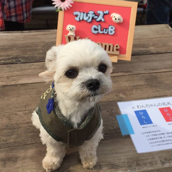 A458d930 7092 42eb a61d a6f499843813