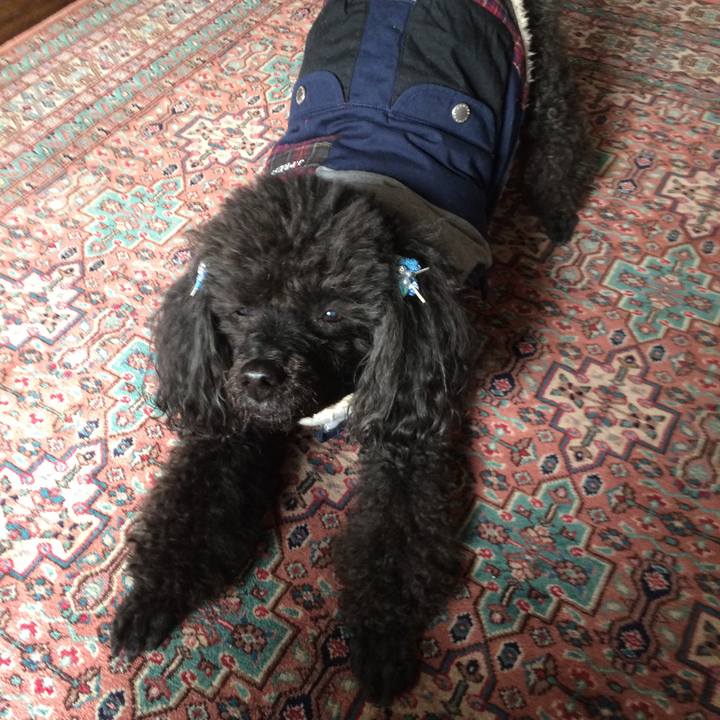 A45903ca 6b64 413e 840b 02fcbef840ab