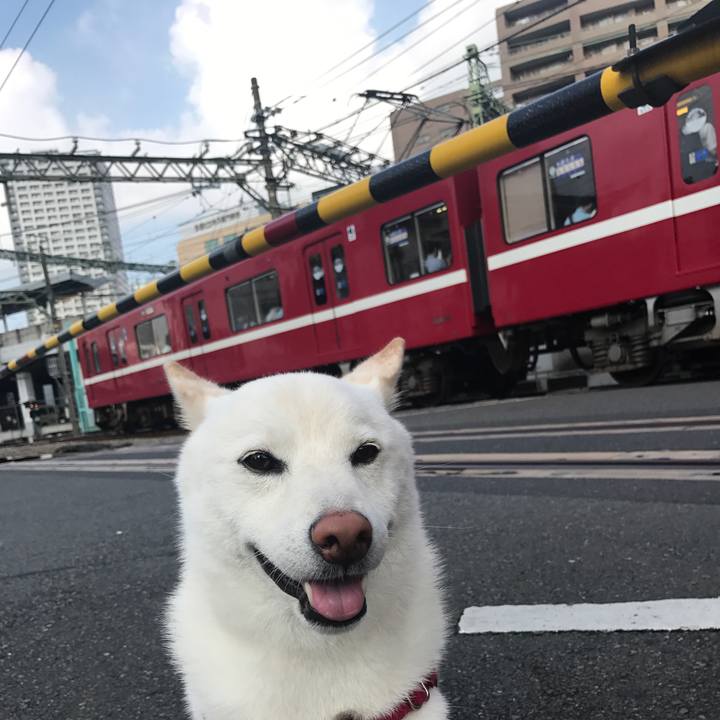 A45958d2 5487 4031 bda3 6448fcacd155