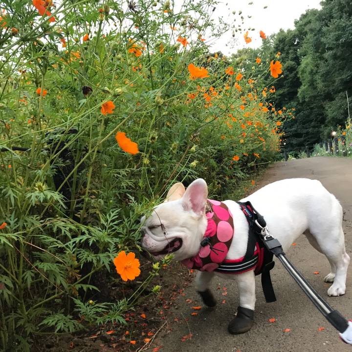 A459c326 7443 472f 8d05 191cfa987feb