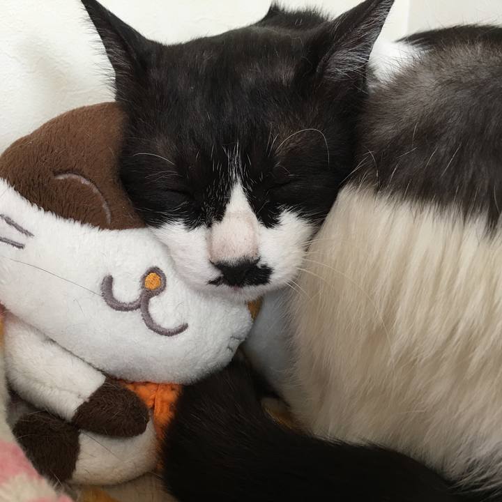 A45a17f6 0530 4d37 8df9 ba151b8d9468