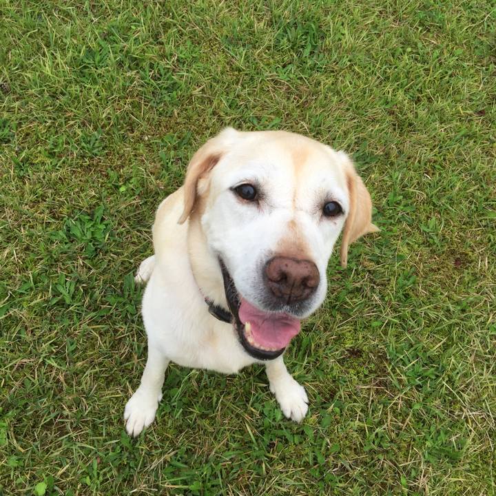 A45a810f 732f 4f84 b917 a70e262fadf5