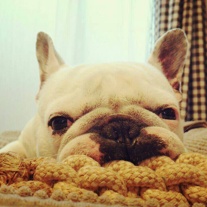 A45d6a7f 5089 4d9b adca 1da970e3d51d