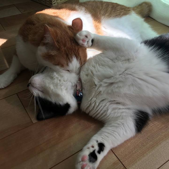 A45d8546 7520 4eaa b78c 81e67a5ac948