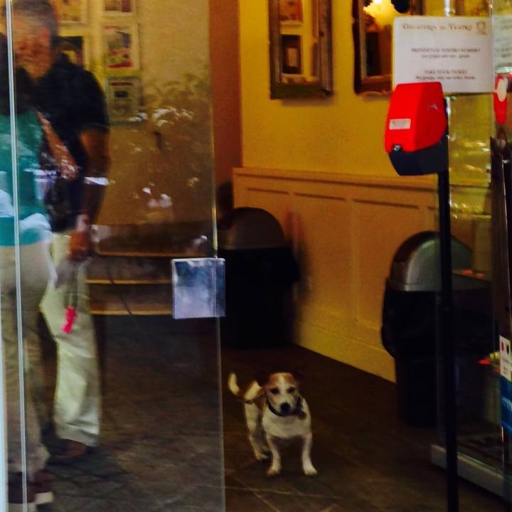 A45dc698 aa1d 4cef bc0e bf5c1f0e5aba