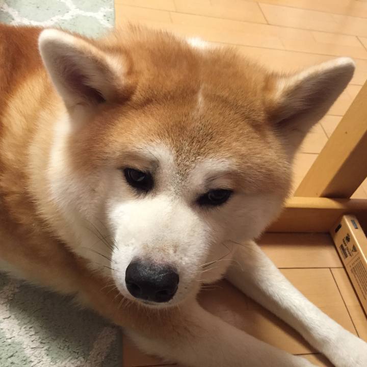 A45df798 4312 4a39 b9e3 035d39440d46