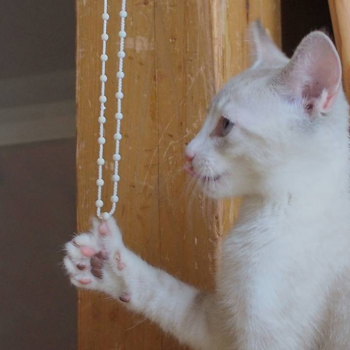 A45dfc43 8c07 4394 bdf9 00360da6f8c8