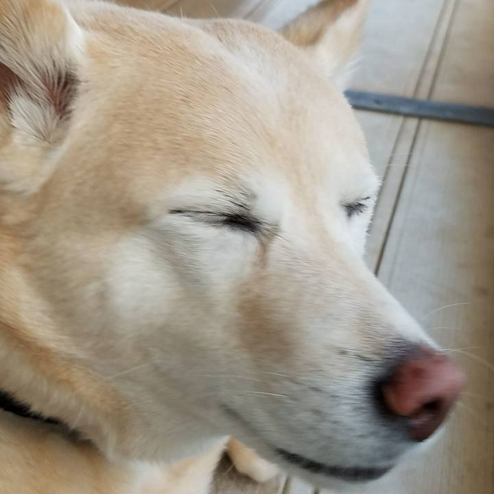 A45e5adb f83c 4726 a920 00c4353781e9