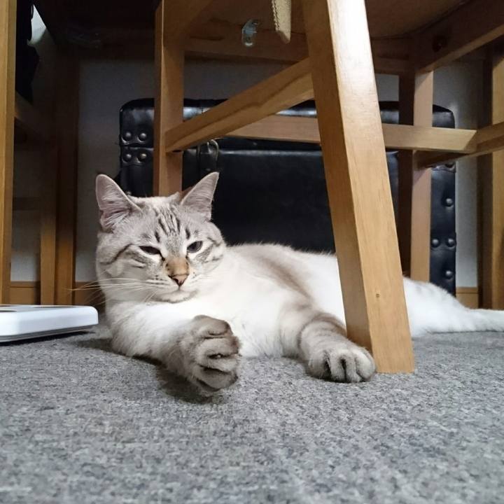 A45e86ad c04c 4775 a202 1f056d5f33fa