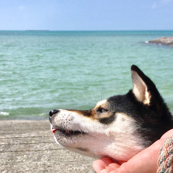 A45e9603 50e5 4baf 9ffe 2de982306349