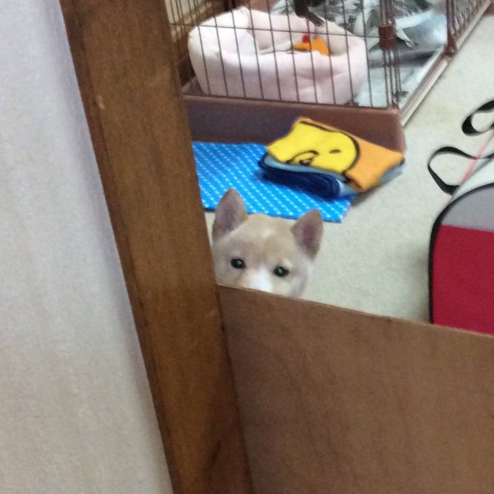 A45f8a57 5336 4a07 ae42 9532be0f64a1