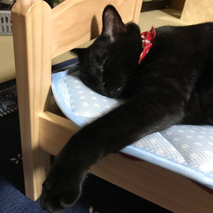 A45f9e36 fc82 4e26 923d e83f71b42bc3