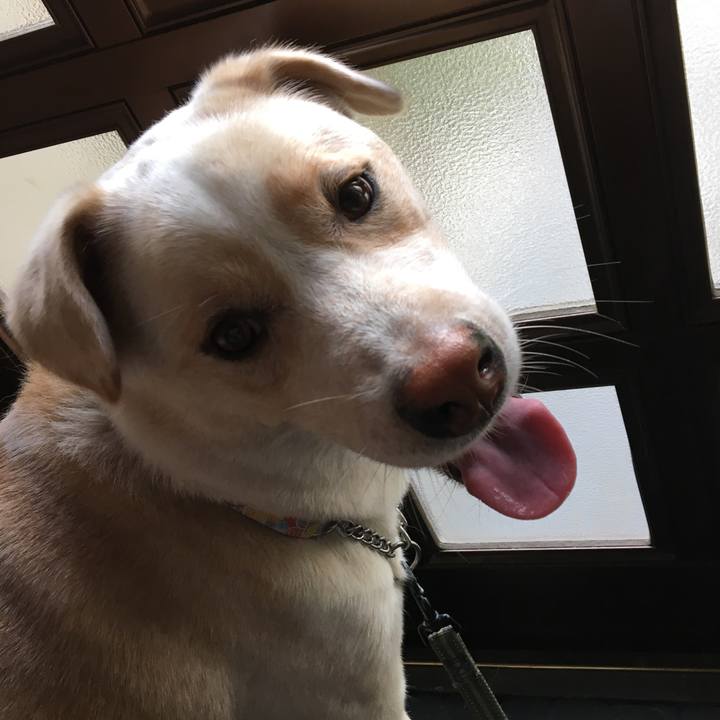 A45fb8c4 1704 4d83 9ccf 50b5b0921257