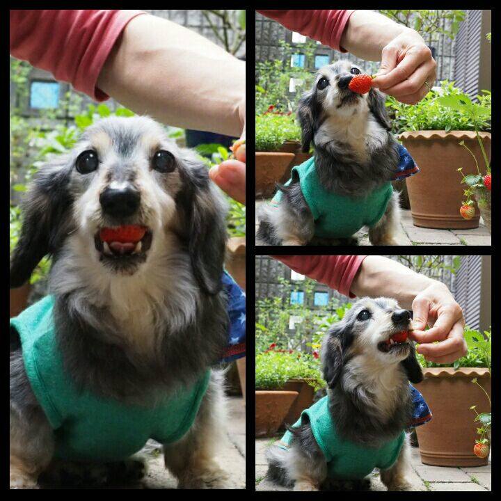 A45fbb68 fe4e 4c4b b966 30d76d82018a