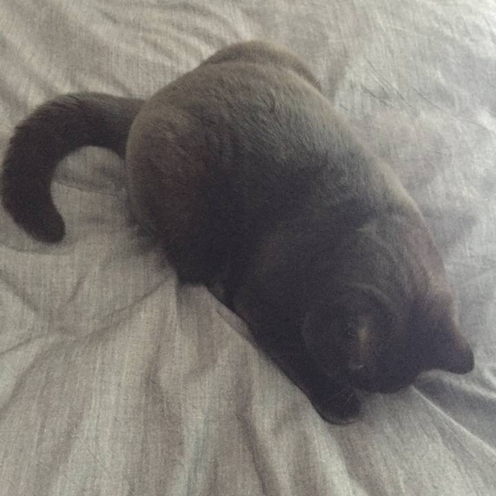 A45fe2aa 2ff0 4a91 b19b 08b66376353f