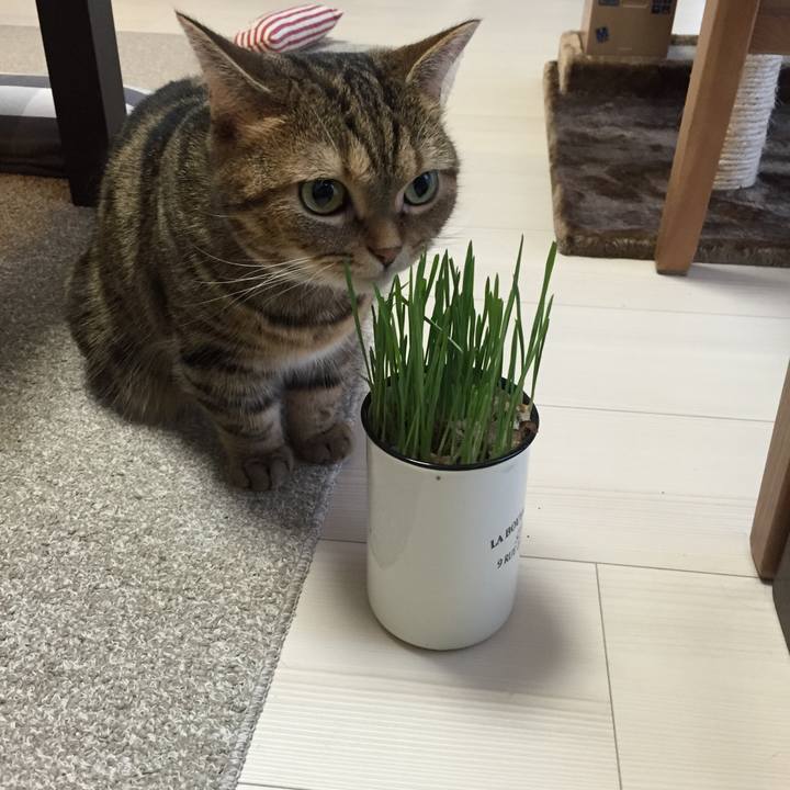 A45ff60b 221d 4e9d 8918 98bf91eff29a