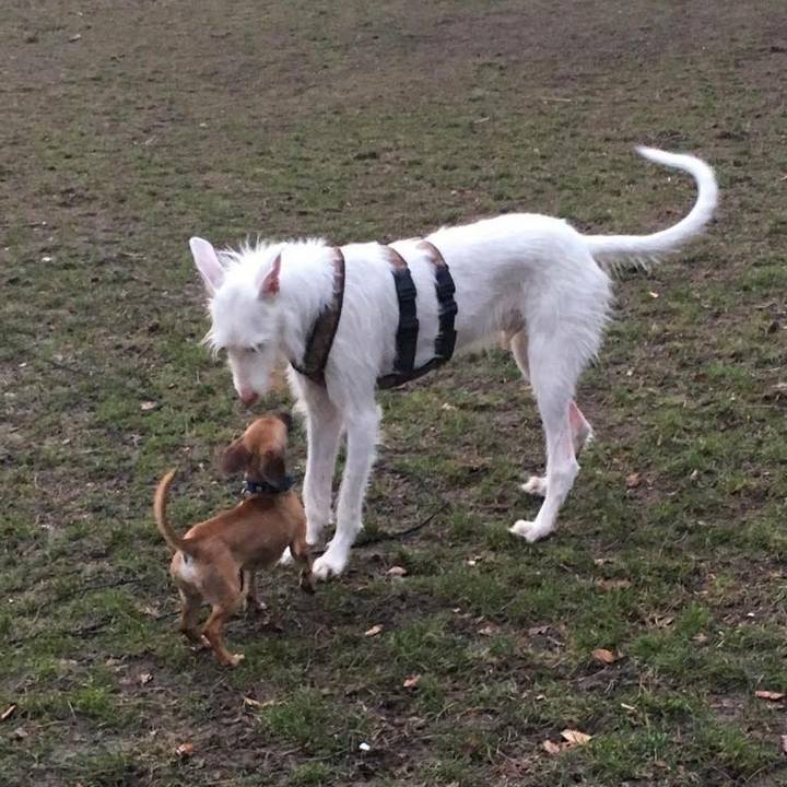 A45ffc17 6d19 4237 af4c 9cdf0d702876