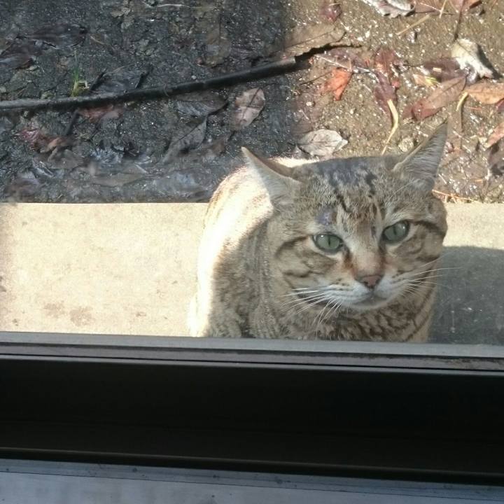 A460b166 43f9 4e9f b16b 035da8d45596