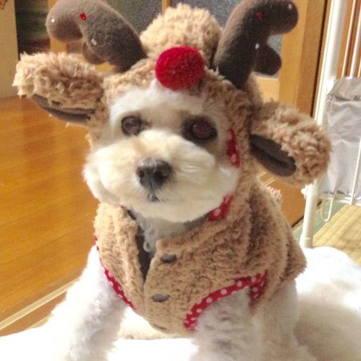 A460c94d e51d 4fa2 951c 7772875102b1