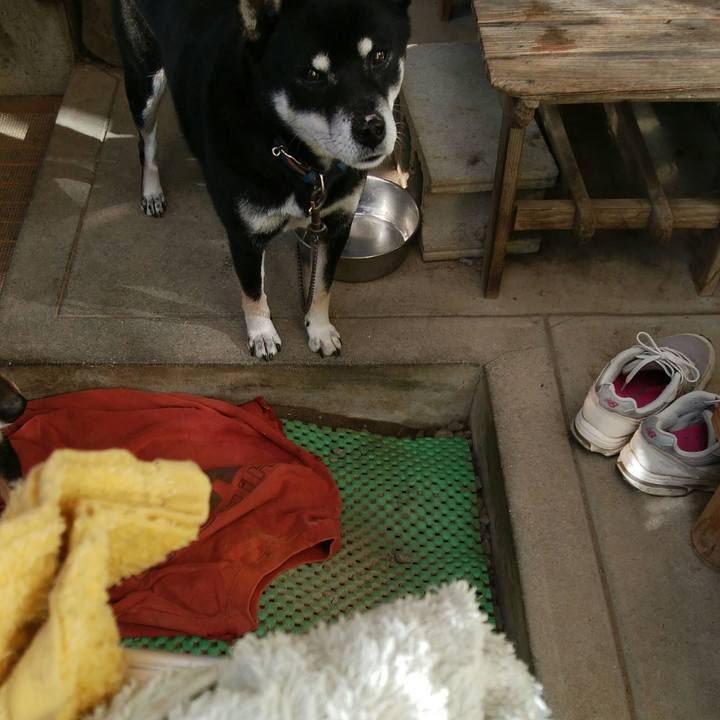 A460cfb9 3c66 4b29 bffd 6fdeb3fdd1f1