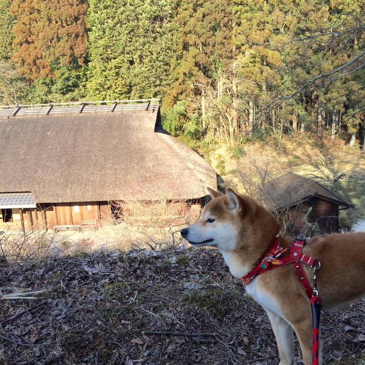 A46104c2 fae8 4379 a534 682d1f5aa94c