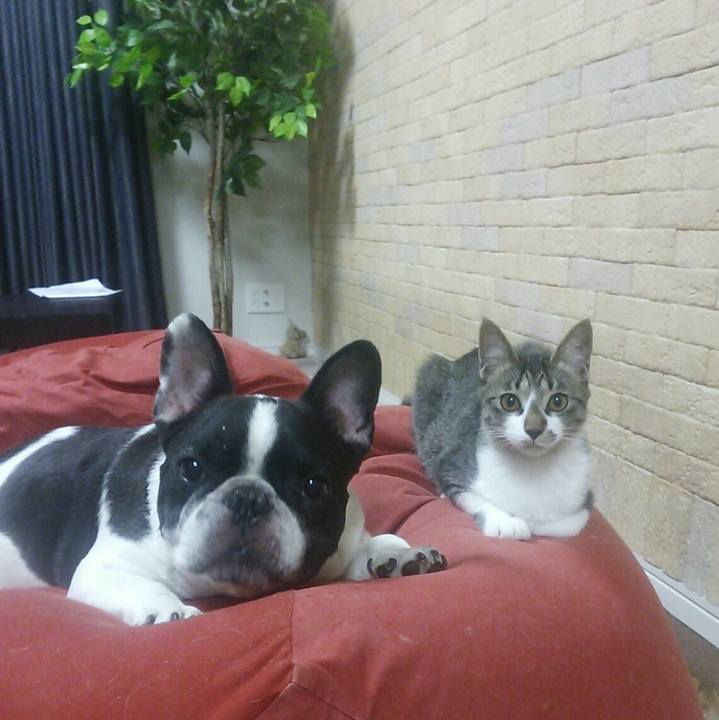 A461566e 6231 4cd4 8423 86a5772ebc04