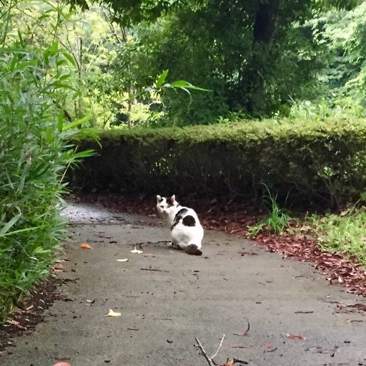 A4619936 2e81 4253 bde2 d6a33afadde1