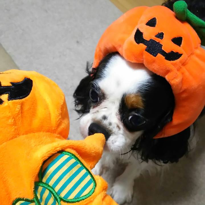 A461aee6 dd91 410b 9dd3 5898b15eb1c4