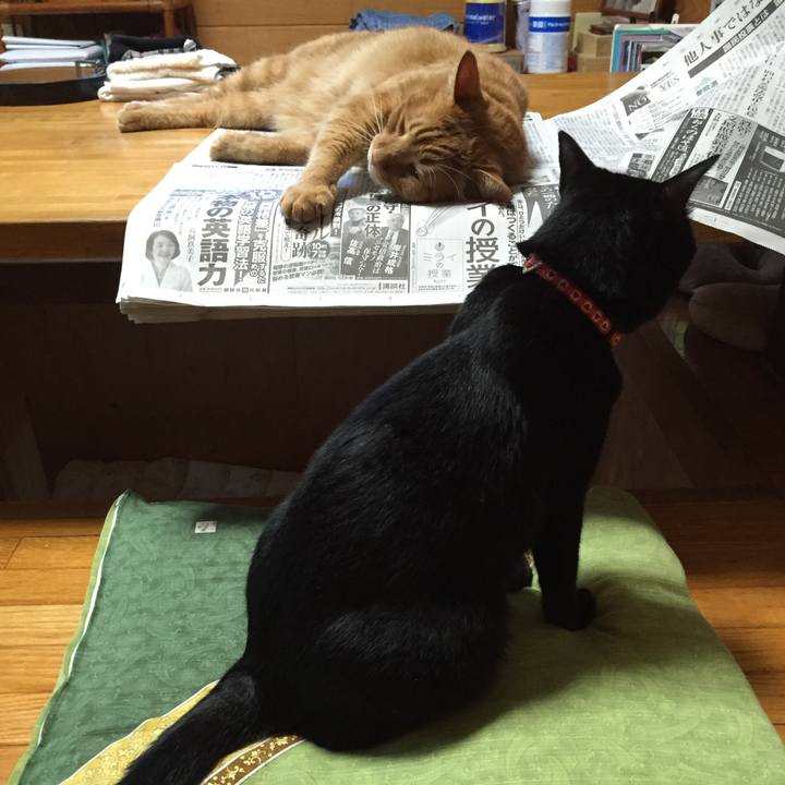 A462fc54 22d2 4330 bd69 e19eace1d097