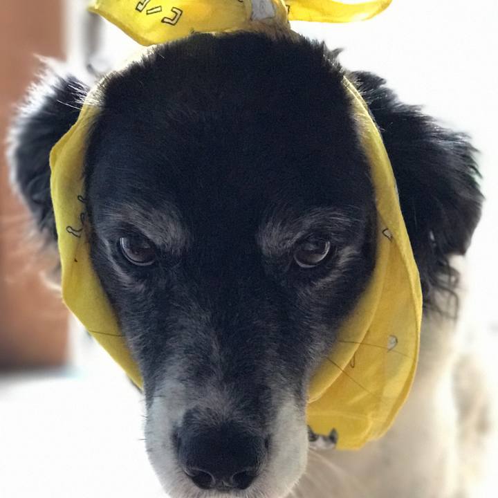 A4638ea6 0847 4def ad51 9aa3c535fa64