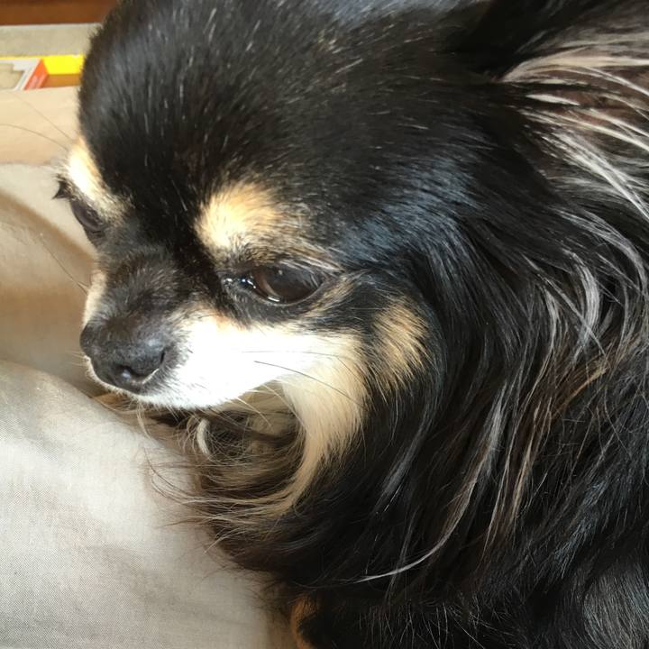 A4639a4d 7606 4de8 83f7 389b359849c5