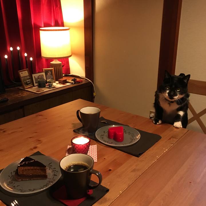 A463a159 62c7 4b8e a8e4 ca5ec72fe4b3