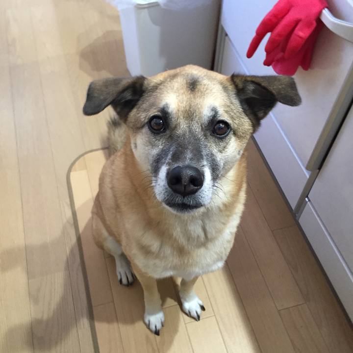 A463cbe8 8275 463f a875 3f64f9c5865d